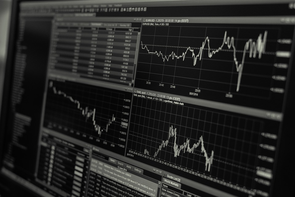Securities Fraud