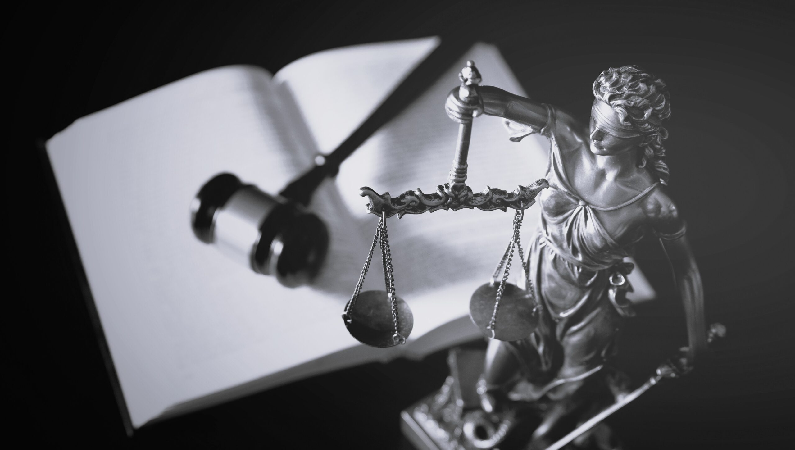 expert witness services